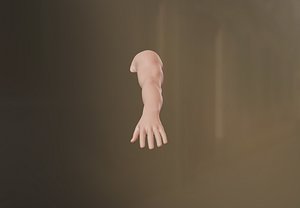 Male Arm 3D model 3D model