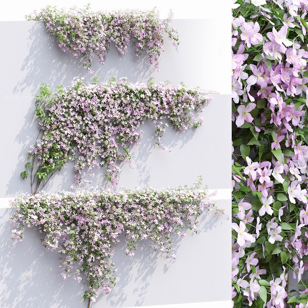 Ivy flowers ts How to