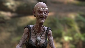 THE WITCH OF THE SWAMP 3D MODEL 3D