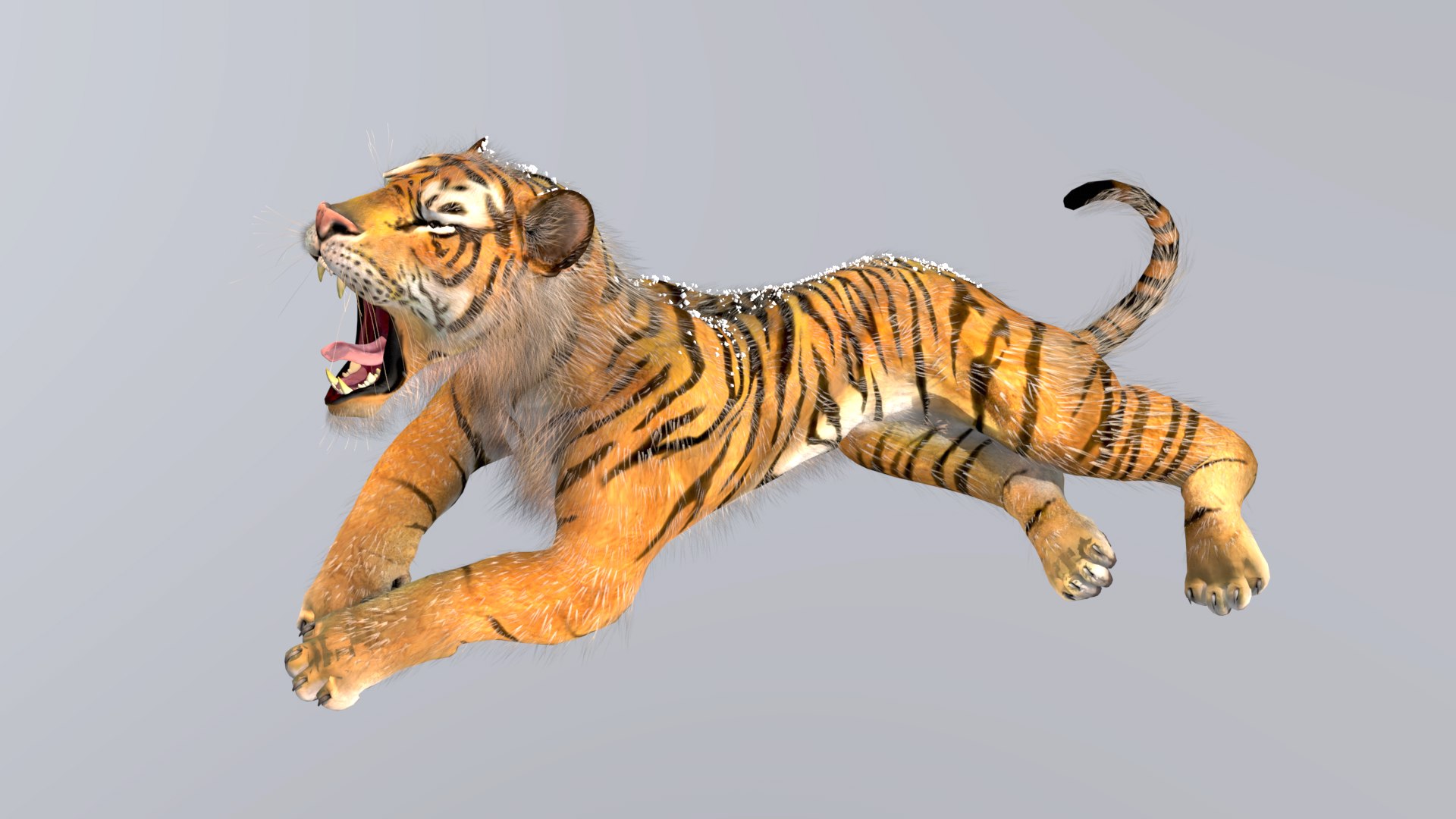 Siberian Tiger Rigged And Animated 3D Model - TurboSquid 2293916