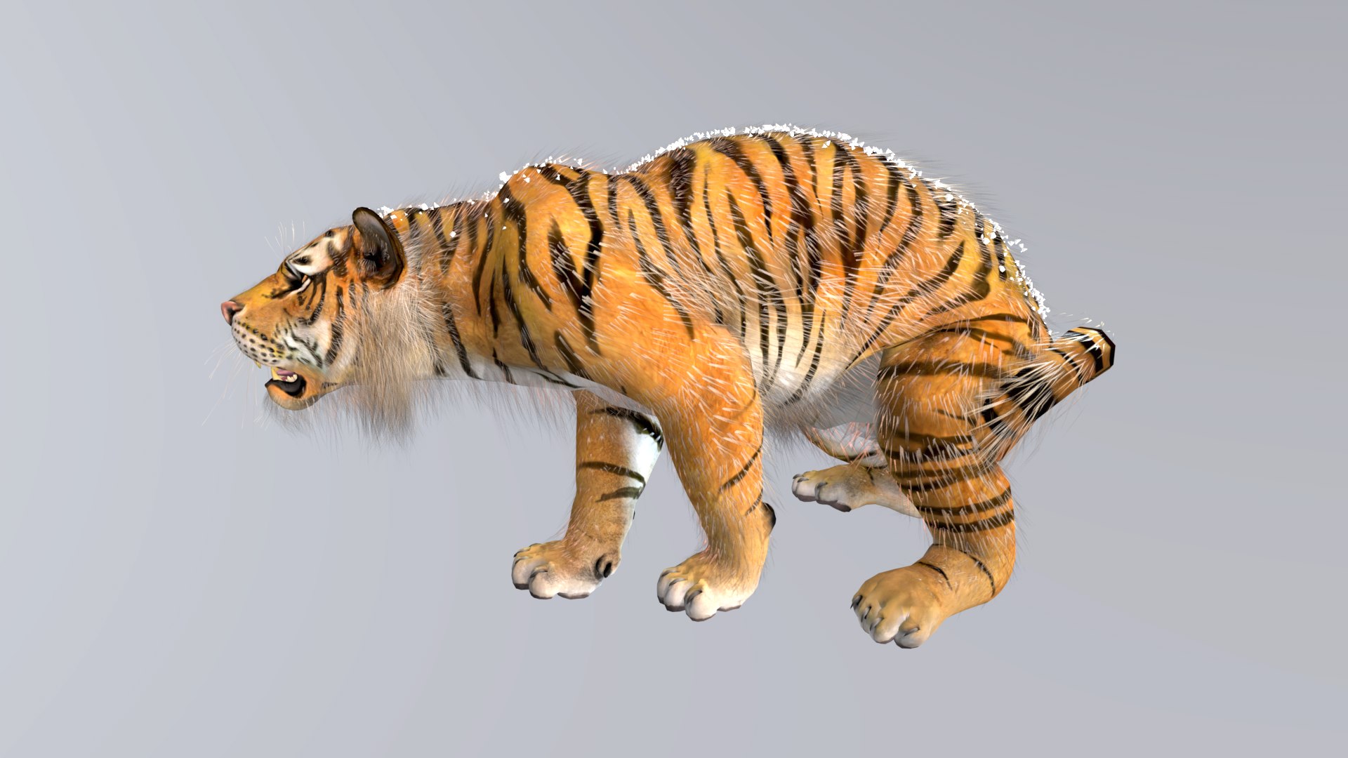 Siberian Tiger Rigged And Animated 3D Model - TurboSquid 2293916