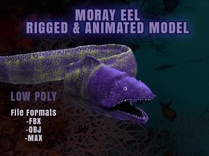 Moray Eel Realistic 3D Model Rigged Animated