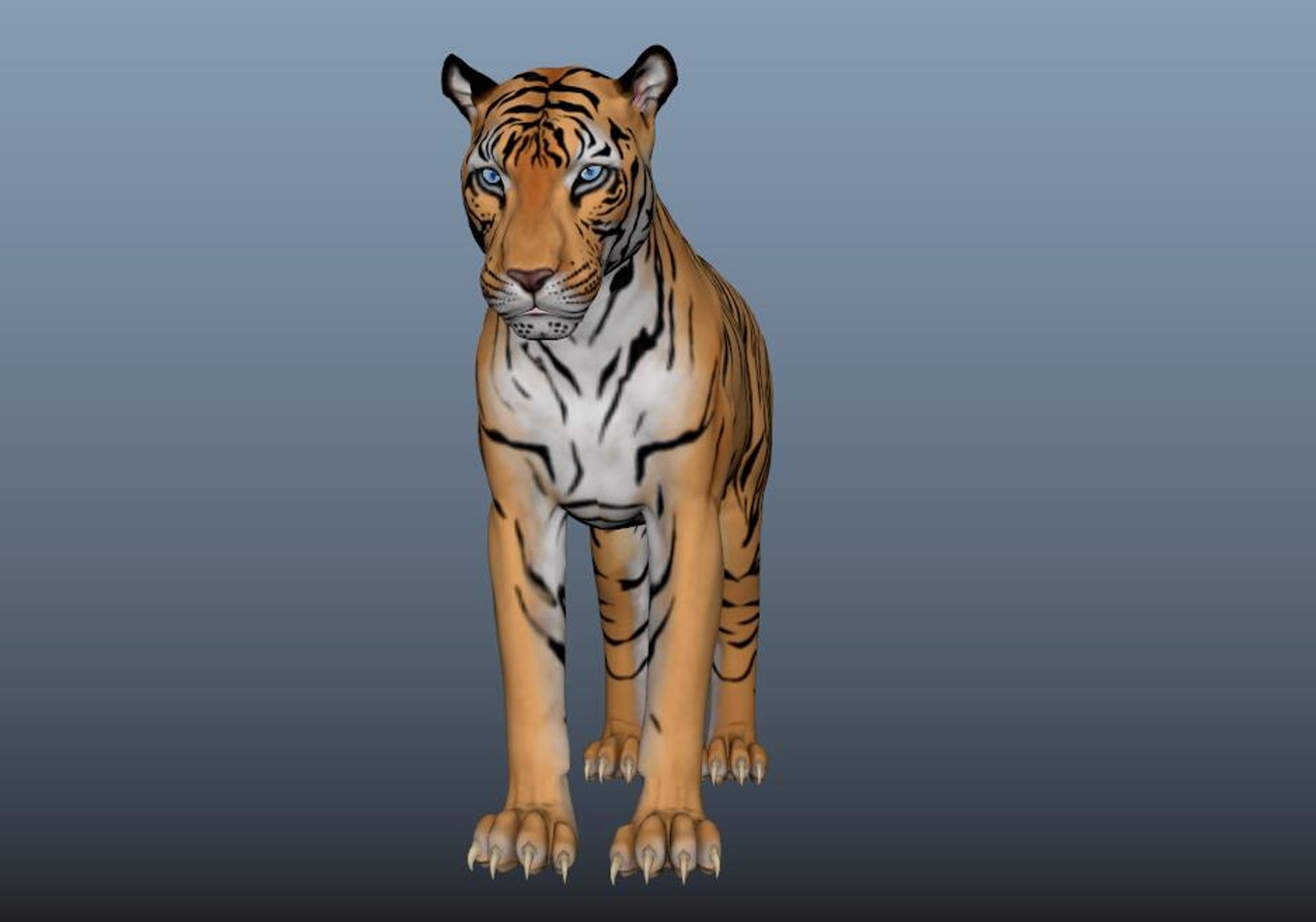 3D model tiger https://p.turbosquid.com/ts-thumb/dN/OXqToC/JI/tiger9/jpg/1725318318/1920x1080/fit_q87/d33f49d95ad79692f69cc7bf29a2e610e9c4acb8/tiger9.jpg