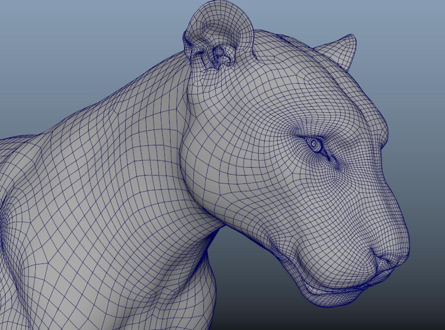 3D model tiger https://p.turbosquid.com/ts-thumb/dN/OXqToC/k8/tiger15/jpg/1725318321/1920x1080/fit_q87/780f867a5d93758501f90620219f091bb4e0ef33/tiger15.jpg
