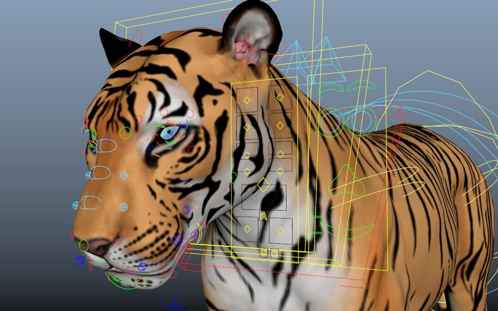 3D model tiger https://p.turbosquid.com/ts-thumb/dN/OXqToC/uO/tiger11/jpg/1725318320/1920x1080/fit_q87/3a43f78a377522a01096247b2987a765105aa04c/tiger11.jpg