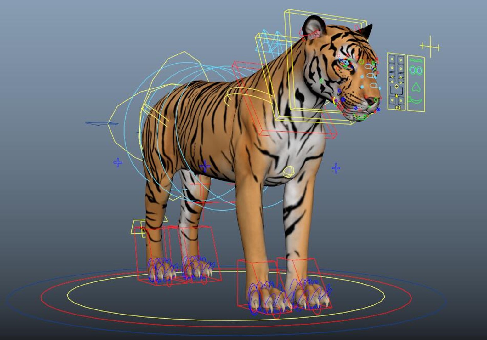3D model tiger https://p.turbosquid.com/ts-thumb/dN/OXqToC/xm/tiger10/jpg/1725318318/1920x1080/fit_q87/fea51fbf43f4c884a21f9853641aee578ba9d0d8/tiger10.jpg