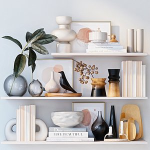 Shelves with decor model