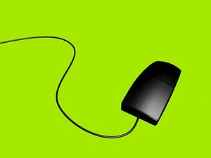 Mouse