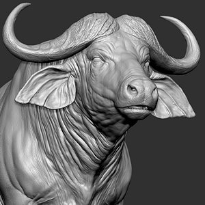 African buffalo - Black Cape VFX 3D model
