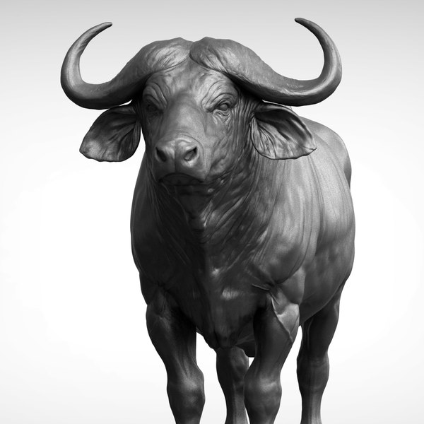 African buffalo - Black 3D - TurboSquid