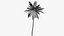 palmera datilera lowpoly v2