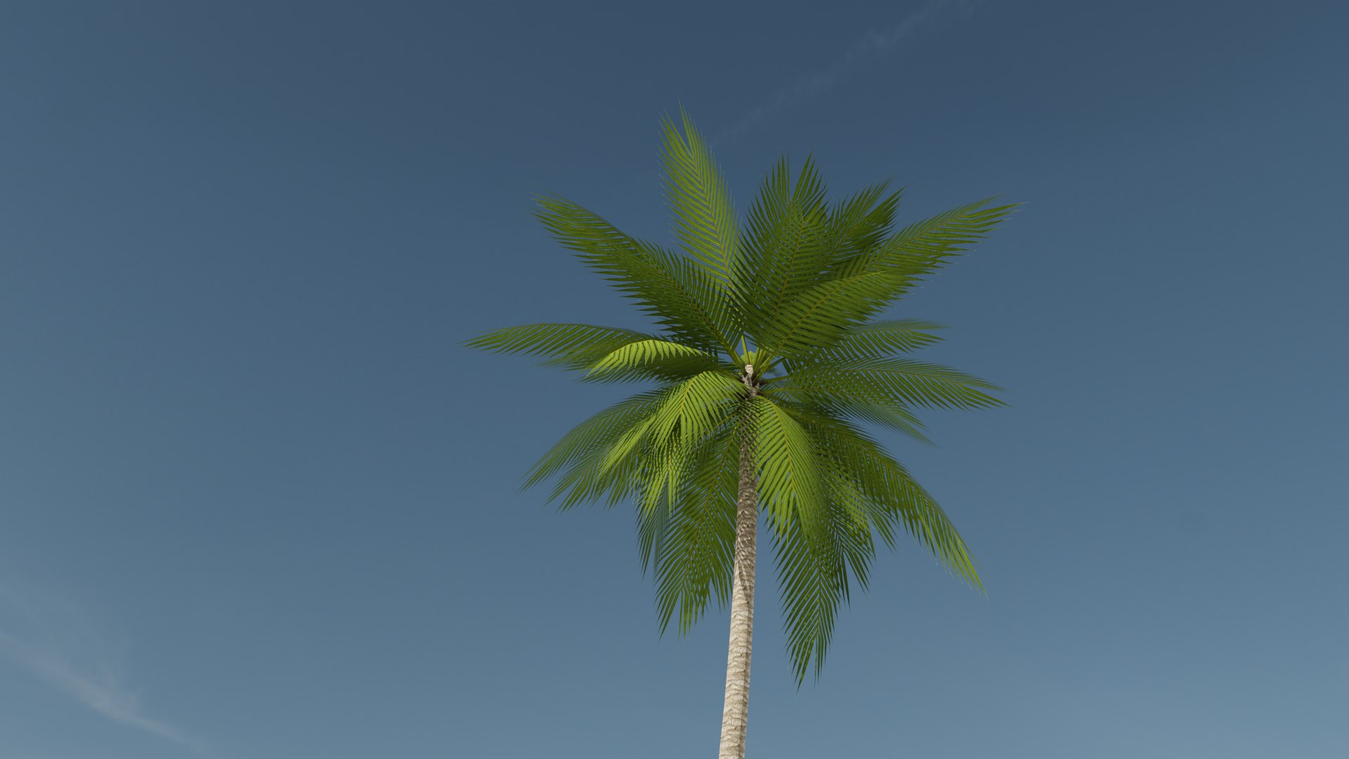 Lowpoly Date Palm v2 3D https://p.turbosquid.com/ts-thumb/dN/qrzHf1/Kv/09/png/1673882342/1920x1080/fit_q87/084f847c96ecddc11f5a6e539c6d5658b05db108/09.jpg