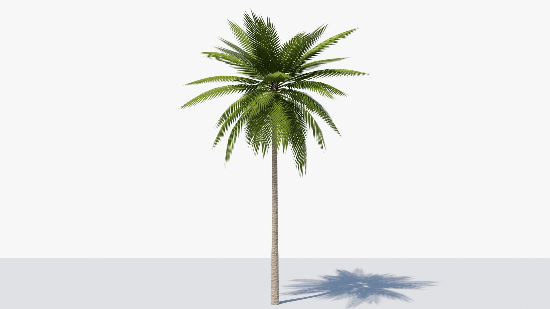 Lowpoly Date Palm v2 3D https://p.turbosquid.com/ts-thumb/dN/qrzHf1/WE/05/png/1673882339/1920x1080/fit_q87/79dee8384fc525770b9514bdf5d7bfbf1a83afa2/05.jpg