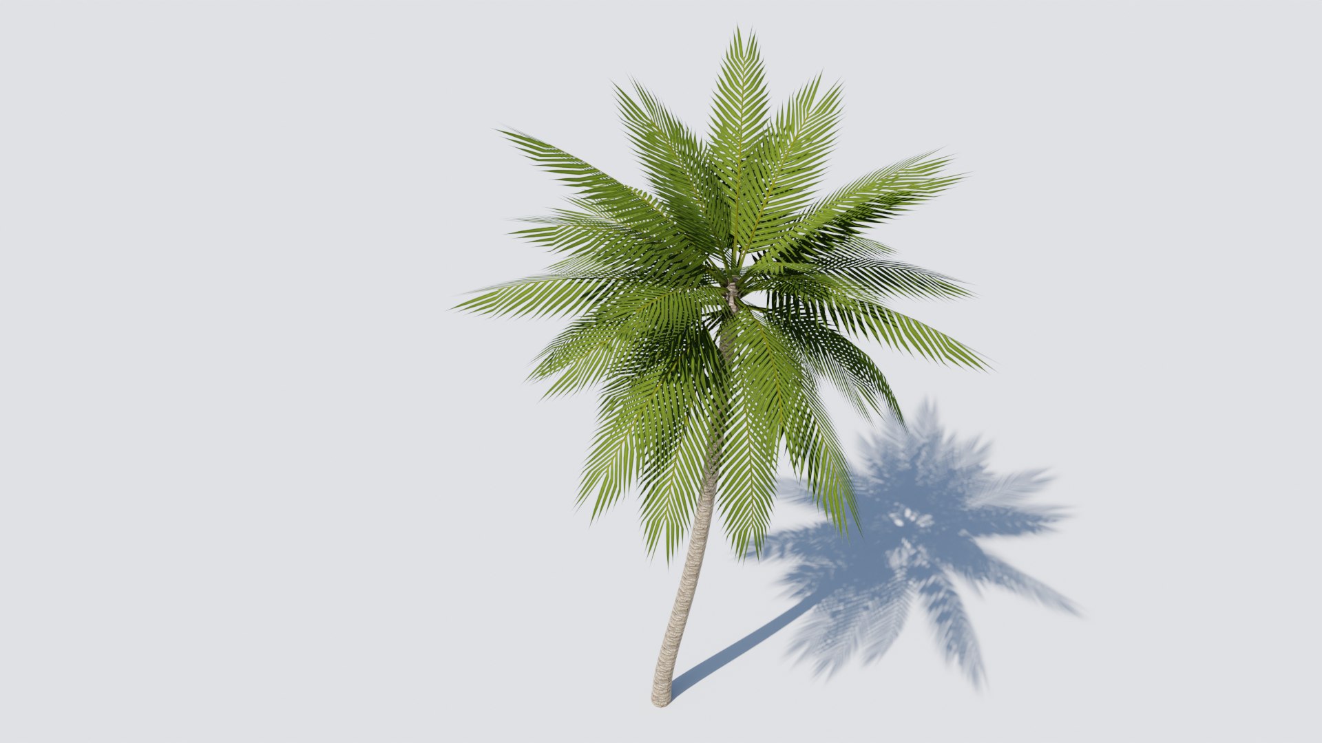 Lowpoly Date Palm v2 3D https://p.turbosquid.com/ts-thumb/dN/qrzHf1/oj/07/png/1673882341/1920x1080/fit_q87/ac167f21581d9648121a123740ec5117e87fb044/07.jpg
