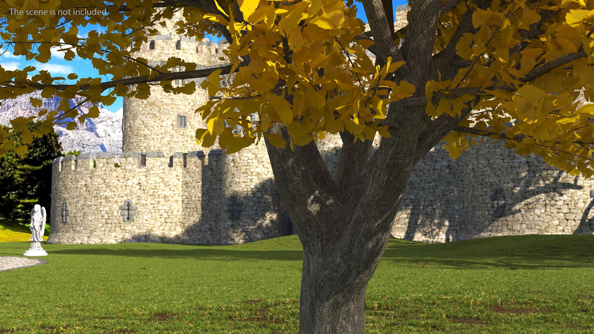 Ginkgo Tree Yellow 3D https://p.turbosquid.com/ts-thumb/dN/vVMqgA/2q/ginkgotreeyellowvray3dmodel005/jpg/1643750214/1920x1080/fit_q87/495a7400f4e0c952d137dba08a57f3da869087fc/ginkgotreeyellowvray3dmodel005.jpg
