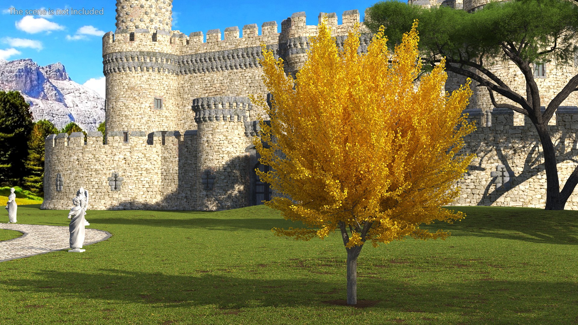 Ginkgo Tree Yellow 3D https://p.turbosquid.com/ts-thumb/dN/vVMqgA/HD/ginkgotreeyellowvray3dmodel002/jpg/1643750206/1920x1080/fit_q87/9da298ae20637a64948b5a696f8ddec224adfef6/ginkgotreeyellowvray3dmodel002.jpg