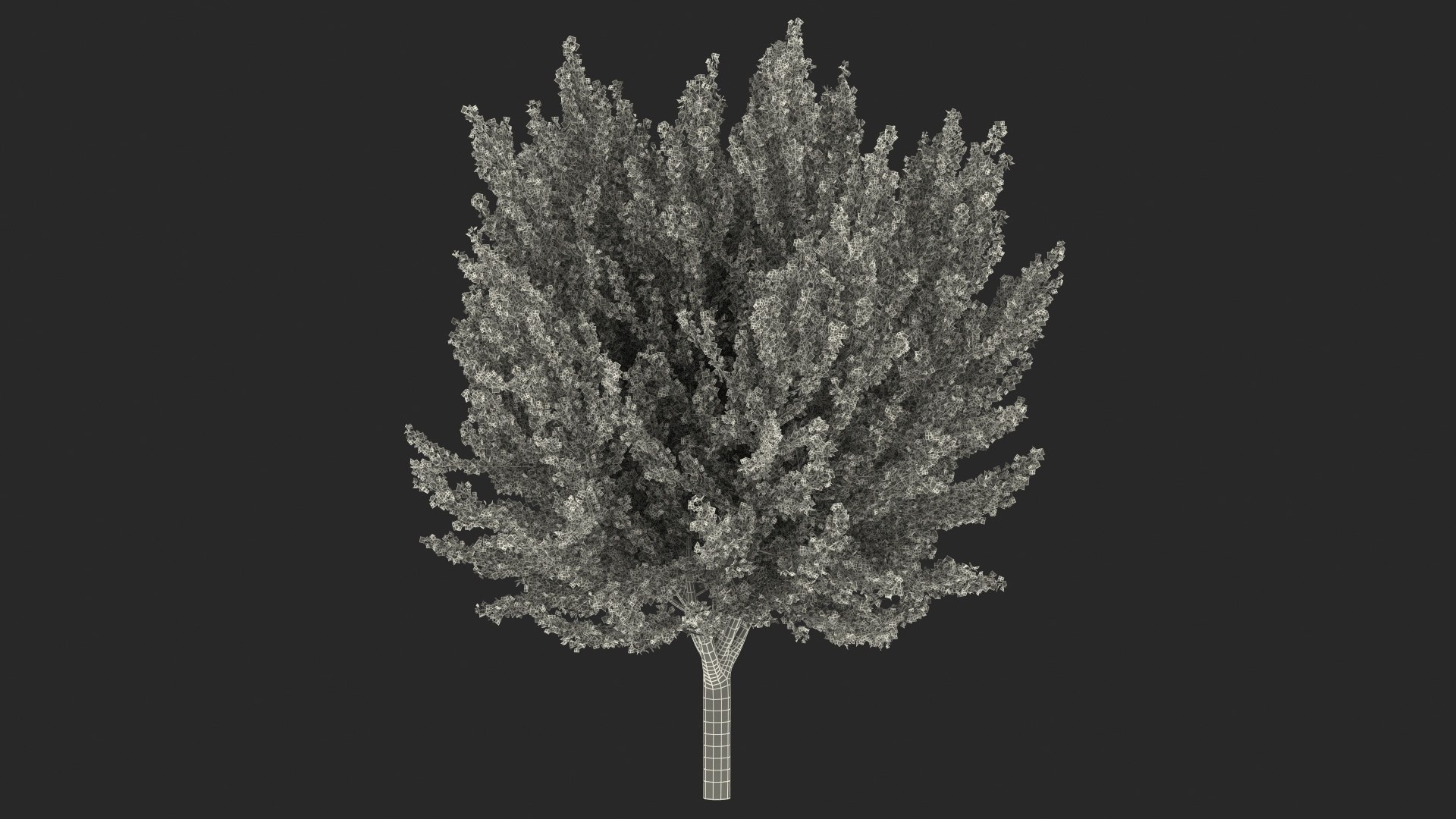 Ginkgo Tree Yellow 3D https://p.turbosquid.com/ts-thumb/dN/vVMqgA/Mq/ginkgotreeyellowvray3dmodel028/jpg/1643750285/1920x1080/fit_q87/5673eaf05dfc4c37c3f2c37d145d6243bb6b96d9/ginkgotreeyellowvray3dmodel028.jpg