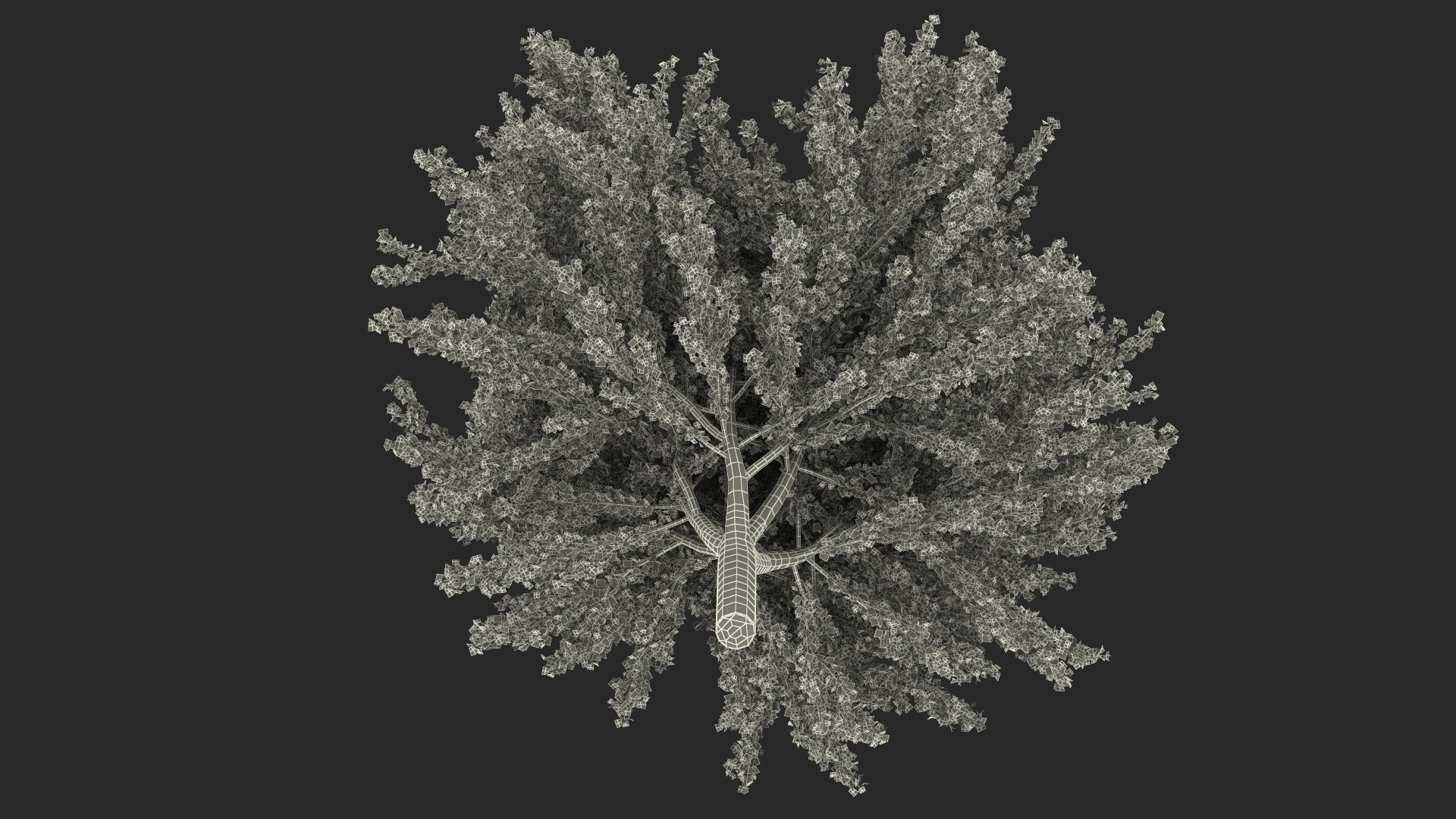 Ginkgo Tree Yellow 3D https://p.turbosquid.com/ts-thumb/dN/vVMqgA/Ms/ginkgotreeyellowvray3dmodel029/jpg/1643750288/1920x1080/fit_q87/a7a6519ed37142364ebc8776cd960ac6b5c98db8/ginkgotreeyellowvray3dmodel029.jpg