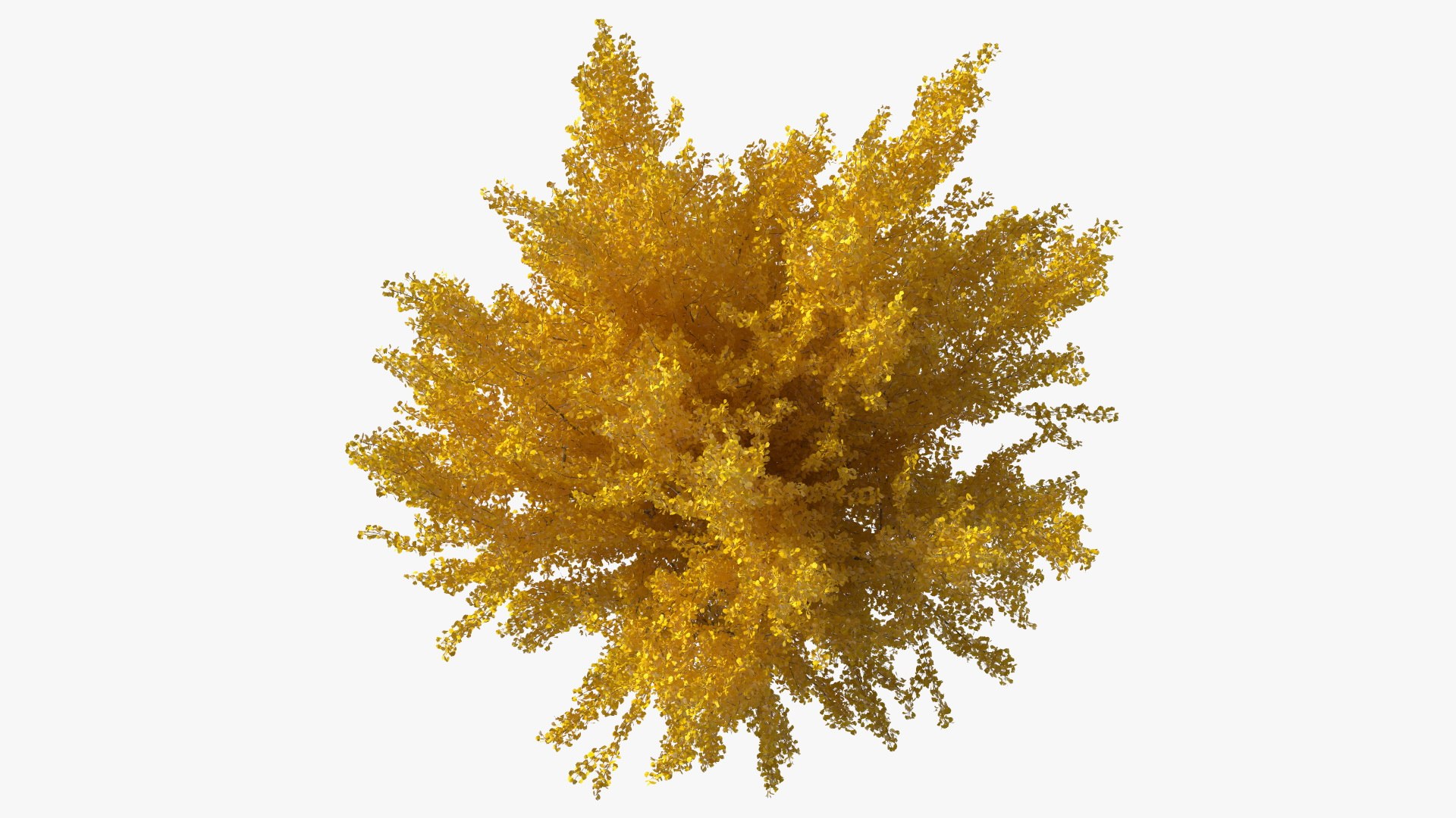 Ginkgo Tree Yellow 3D https://p.turbosquid.com/ts-thumb/dN/vVMqgA/Vg/ginkgotreeyellowvray3dmodel010/jpg/1643750229/1920x1080/fit_q87/9bc8000d0b89017af0c2f1e7b157f192a4c0fbd3/ginkgotreeyellowvray3dmodel010.jpg