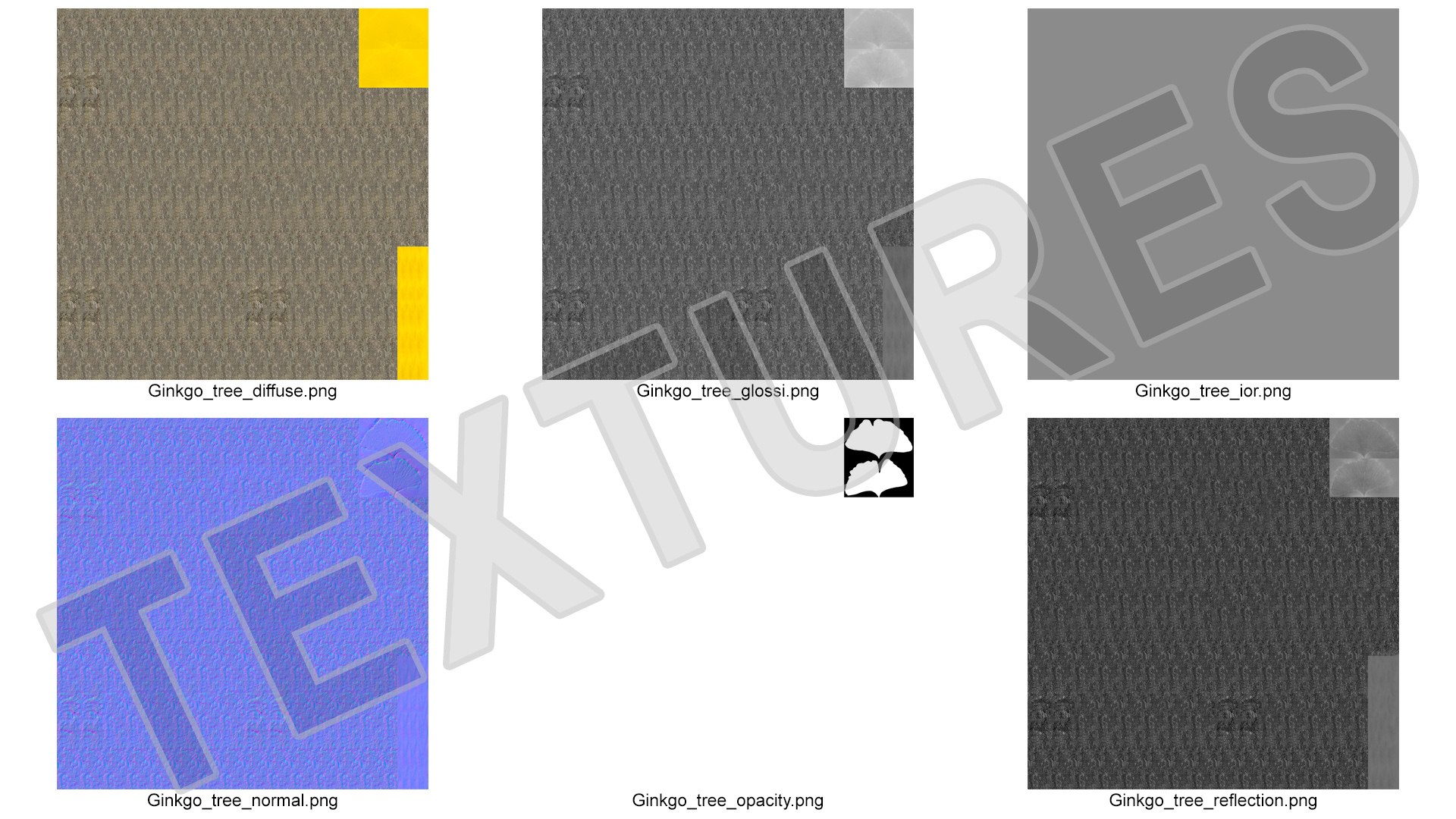 Ginkgo Tree Yellow 3D https://p.turbosquid.com/ts-thumb/dN/vVMqgA/YK/ginkgotreeyellowvray3dmodel022/jpg/1643750268/1920x1080/fit_q87/6e23bf3d8f9c59a9dc067f041da19f5fe6ffa1d4/ginkgotreeyellowvray3dmodel022.jpg