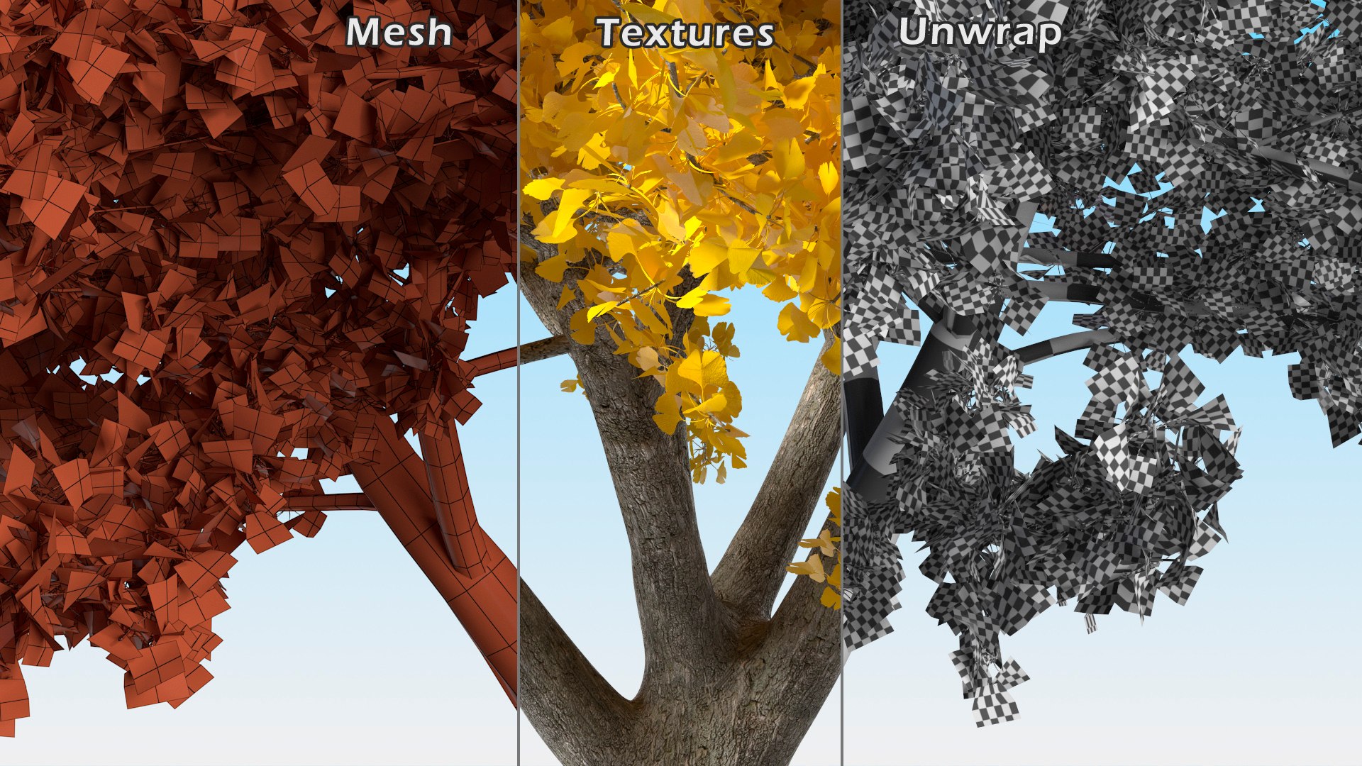 Ginkgo Tree Yellow 3D https://p.turbosquid.com/ts-thumb/dN/vVMqgA/bp/ginkgotreeyellowvray3dmodel020/jpg/1643750262/1920x1080/fit_q87/ef987d783c317df751047deee95e61e3a9c42476/ginkgotreeyellowvray3dmodel020.jpg