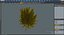 Árvore de Ginkgo Amarelo