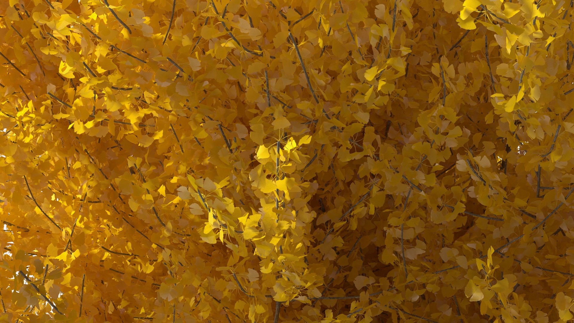 Ginkgo Tree Yellow 3D https://p.turbosquid.com/ts-thumb/dN/vVMqgA/rS/ginkgotreeyellowvray3dmodel019/jpg/1643750258/1920x1080/fit_q87/2f6cc479da10db83fe852931141efe2219c78fcf/ginkgotreeyellowvray3dmodel019.jpg