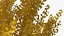 Árvore de Ginkgo Amarelo