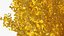 Árvore de Ginkgo Amarelo
