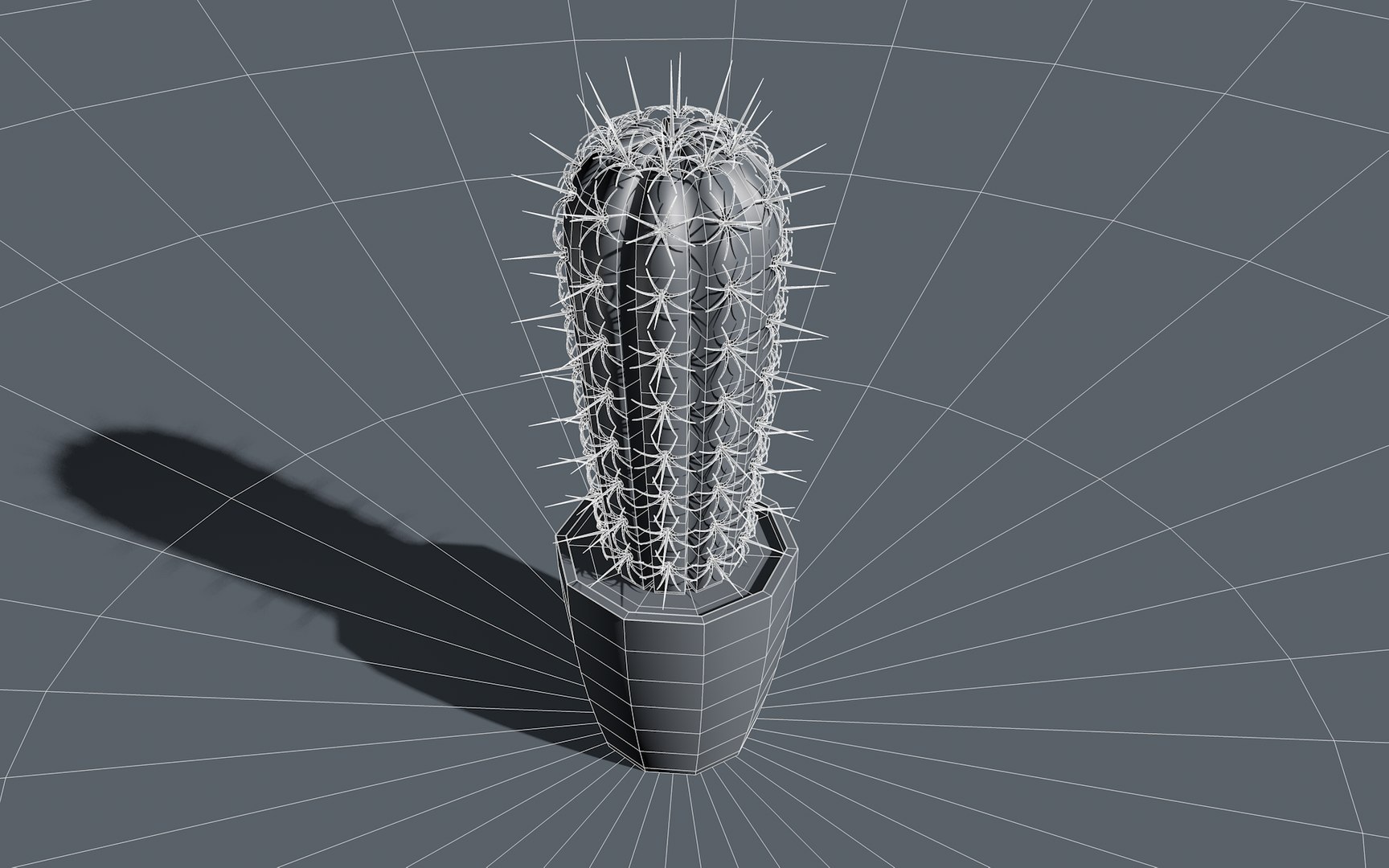 3d Cactus Model