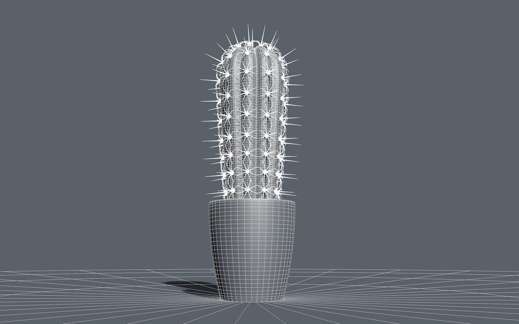3d Cactus Model