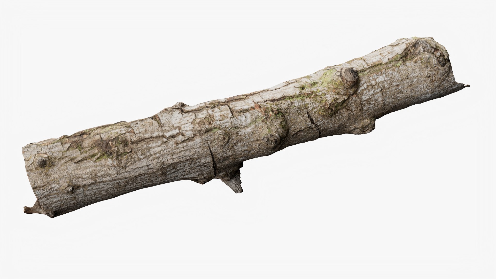 Scanned Trimmed Tree Wood 10 3D https://p.turbosquid.com/ts-thumb/dO/1Wp2TC/DO/trunk_10_p05/jpg/1749193976/1920x1080/fit_q87/ad7afc85e1dfe830fb0b17633847093f30271b9a/trunk_10_p05.jpg