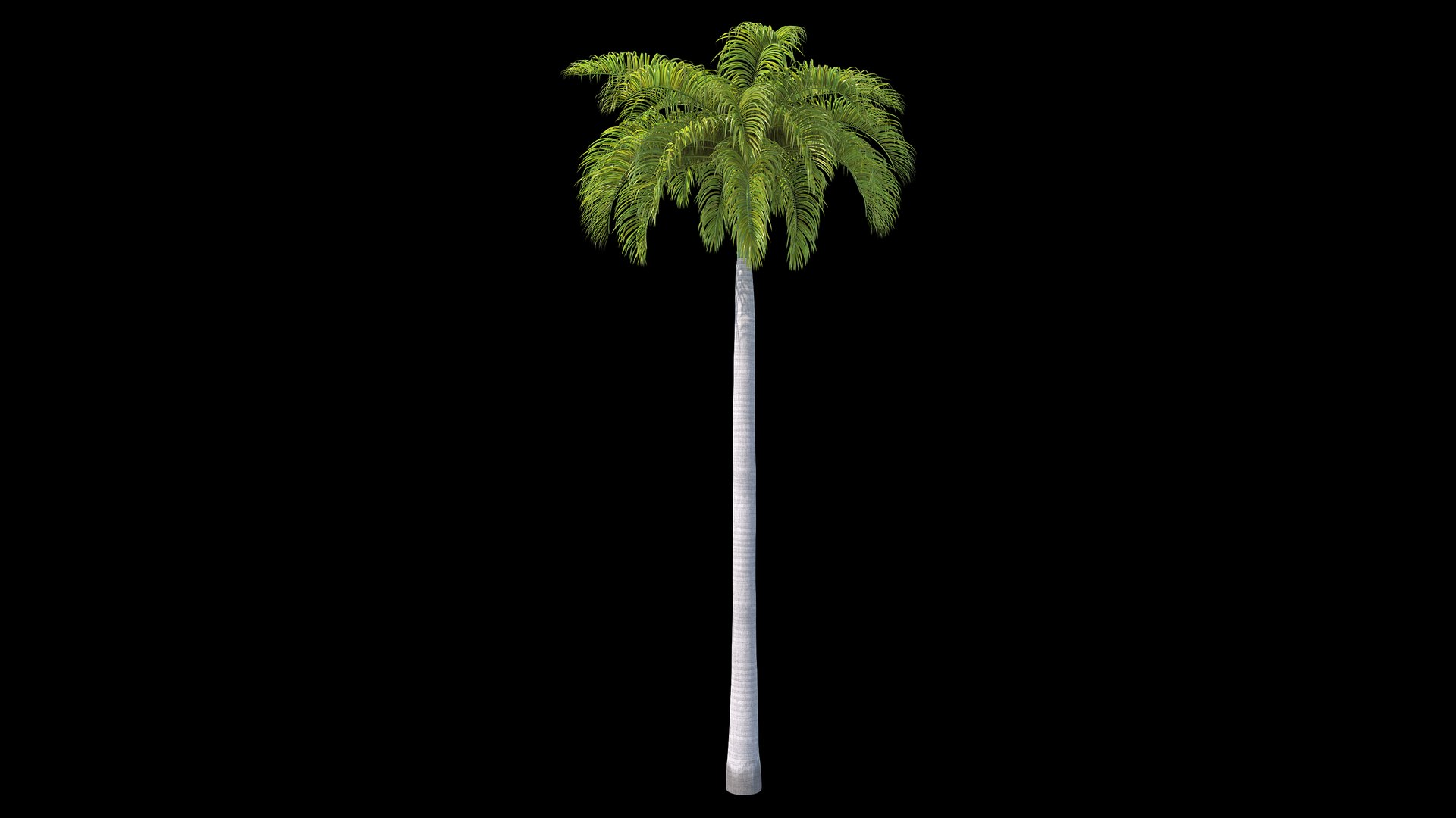 royal 02 3D https://p.turbosquid.com/ts-thumb/dO/5P3Idm/ZbtIn3YH/_sign_2/jpg/1601624245/1920x1080/fit_q87/d652cdc9ca5faf6fc6f57a4678aa169445f1a88e/_sign_2.jpg