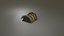 Stylized Strongbox