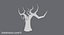 Bare Desert Tree 03 Low Poly