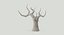 Bare Desert Tree 03 Low Poly