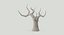 Bare Desert Tree 03 Low Poly