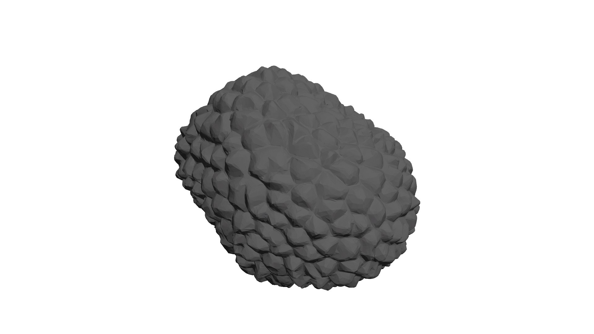 Medium Truffle 3D Model - TurboSquid 1799636