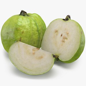 Guava Fruit 3D model