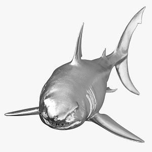 great white shark silver 3D model