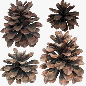 Frosted-pine-cones---01 3D model - TurboSquid 1362571
