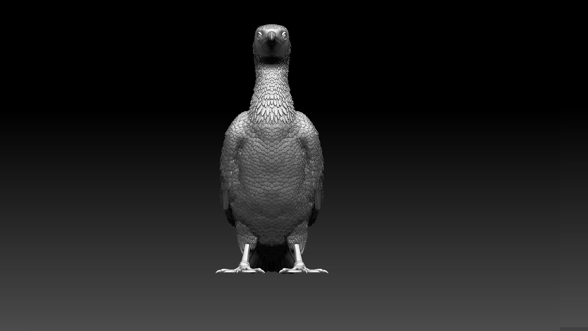3D cormorant model https://p.turbosquid.com/ts-thumb/dP/FuRV8X/bi/58769865/jpg/1653314079/1920x1080/fit_q87/f28ca26d4d177bff3f36f28829020d589fce0bc5/58769865.jpg