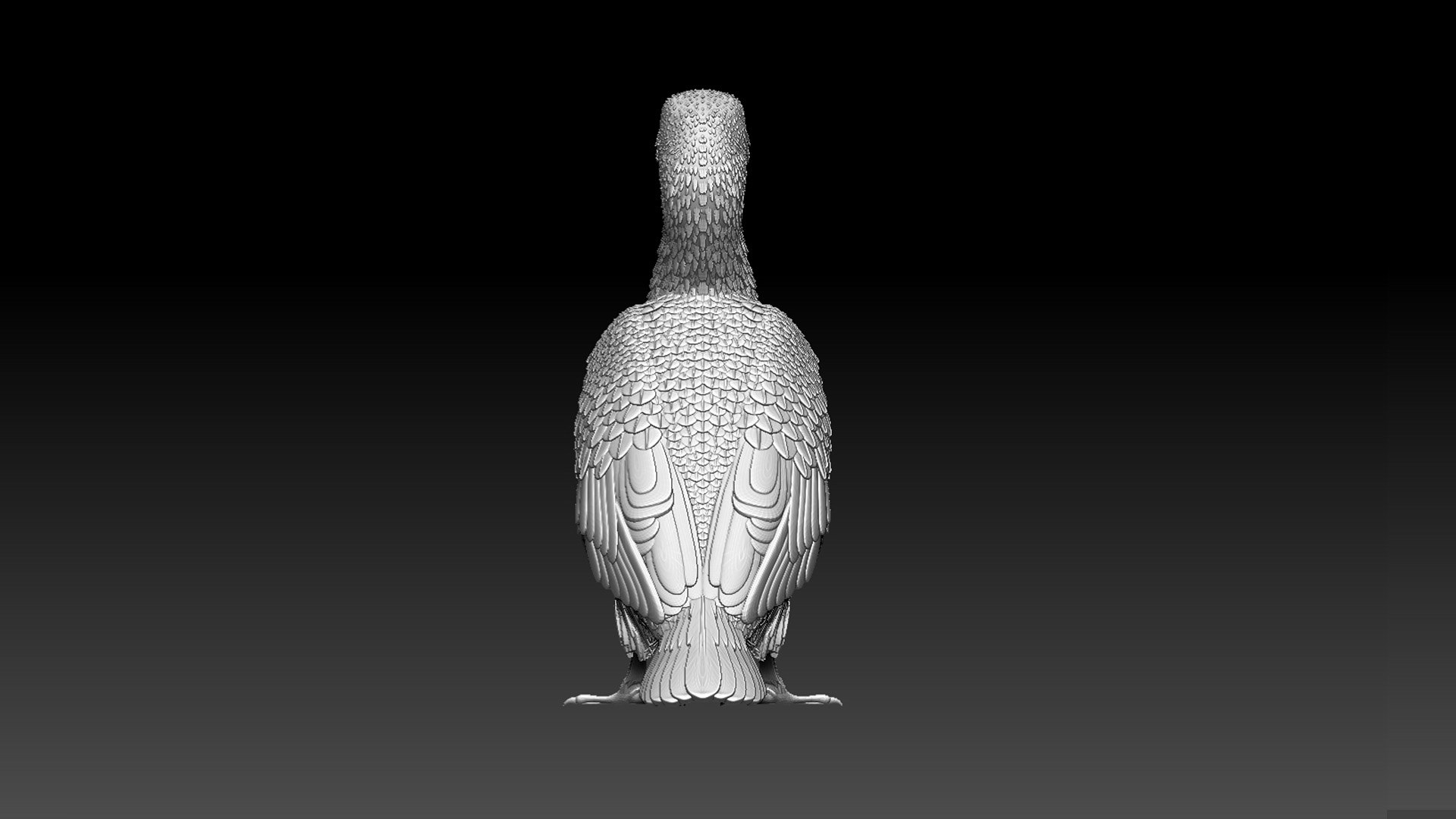 3D cormorant model https://p.turbosquid.com/ts-thumb/dP/FuRV8X/fu/98786743/jpg/1653314081/1920x1080/fit_q87/4f8c7f19332174d606136930e4155888b523ee81/98786743.jpg
