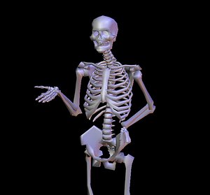 Skeleton