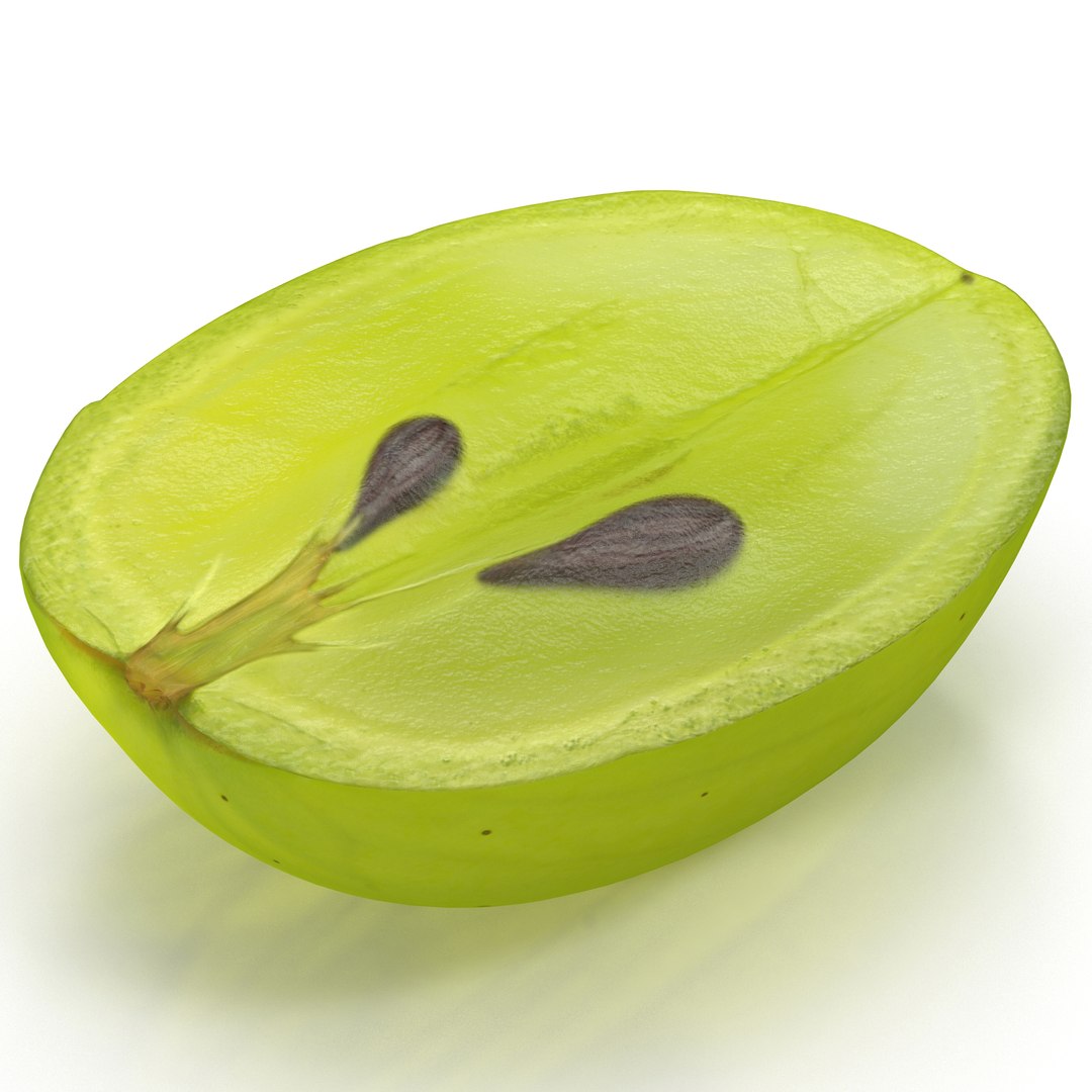 Green Grape Cross Section 3D model preview