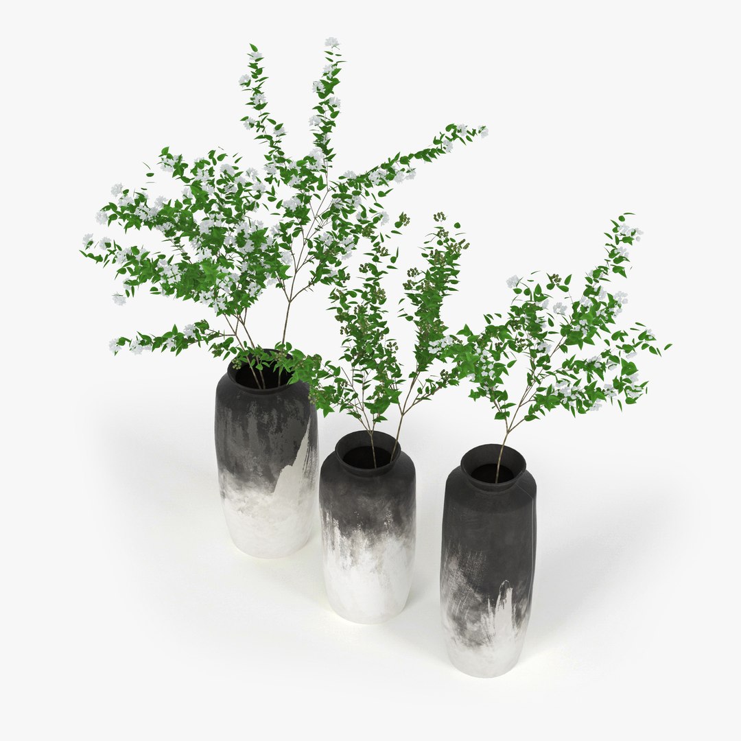 3D Branch Model - TurboSquid 1270847