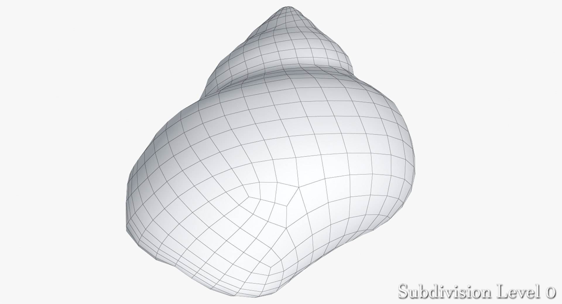 3d Model Of Snail Shell