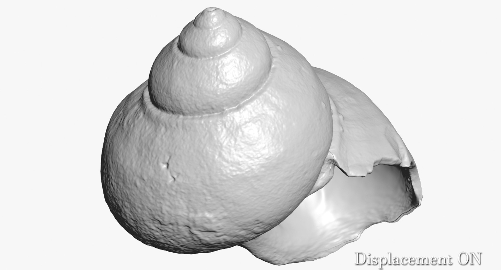 3d model of snail shell https://p.turbosquid.com/ts-thumb/dP/o3dxfZ/Ds1RcxrF/camera005_displaceon001/jpg/1447364887/1920x1080/fit_q87/bfb9c55a75b94d3ca2c0309545a58efd8fbbb772/camera005_displaceon001.jpg