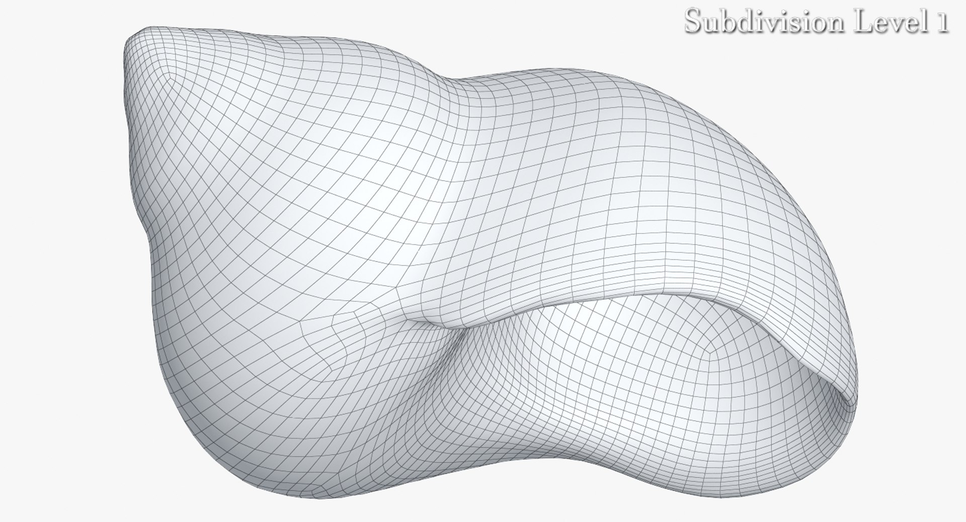 3d Model Of Snail Shell