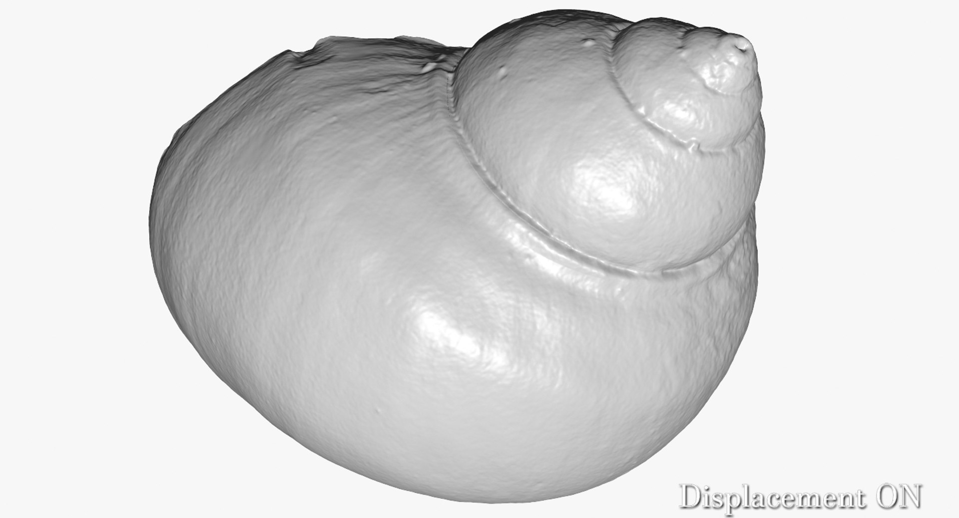 3d model of snail shell https://p.turbosquid.com/ts-thumb/dP/o3dxfZ/bvGwQBCN/camera001_displaceon001/jpg/1447364887/1920x1080/fit_q87/a526e35a4d16e4008e754d9088de52f922c06476/camera001_displaceon001.jpg